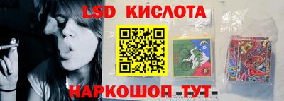 стафф Кингисепп