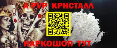 стафф Кингисепп