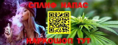 стафф Кингисепп