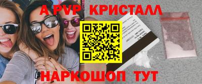 стафф Кингисепп