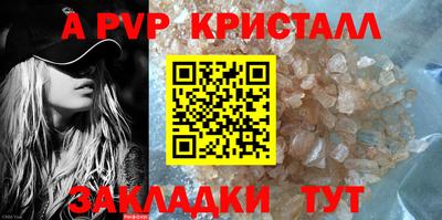 стафф Кингисепп