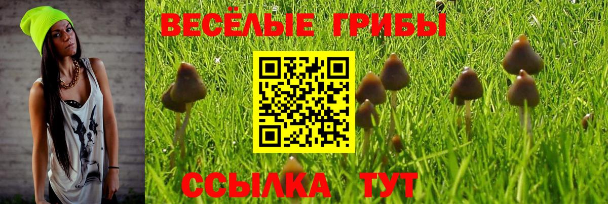 Галлюциногенные грибы ЛСД Котовск